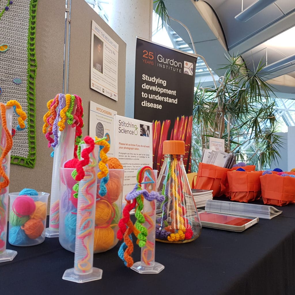 Table with beakers and flasks containing brightly coloured crochet. In the background there is a Gurdon Institute banner with the tagline "Studying development to understand disease"