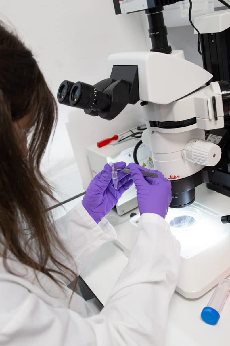Student preparing a sample under a microscope