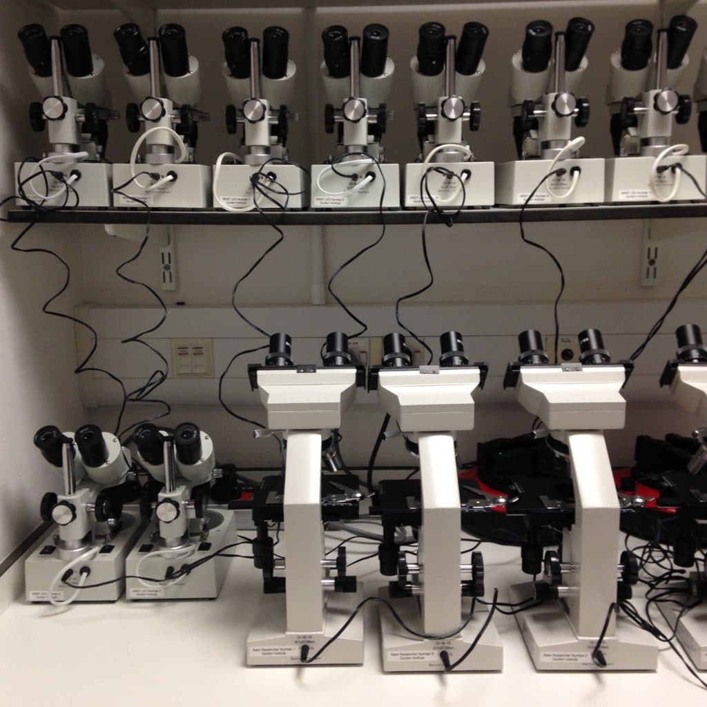 Shelves with microscopes lined up