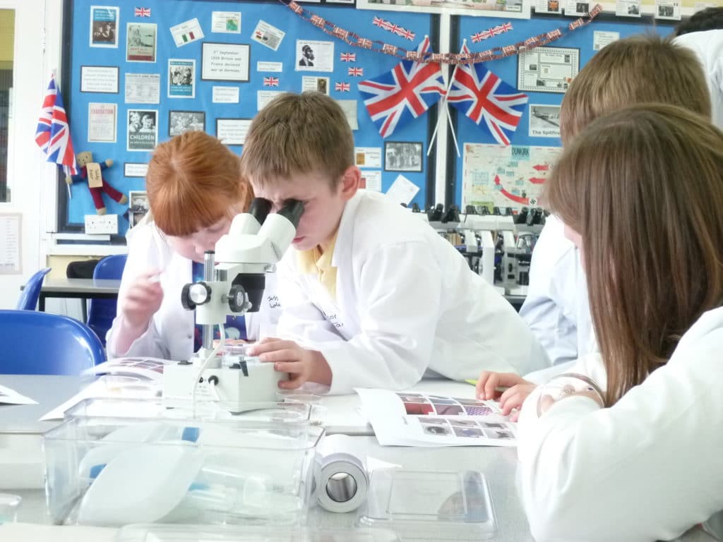 Table with primary school children using microscopes and taking notes