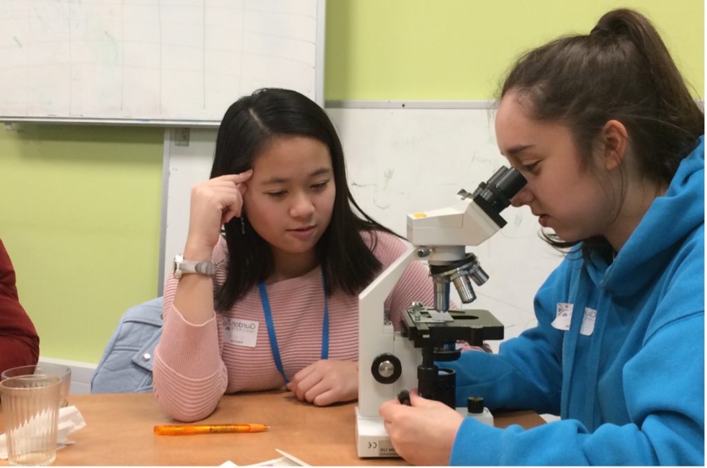 Two sixth form students taking part in a microscopy task