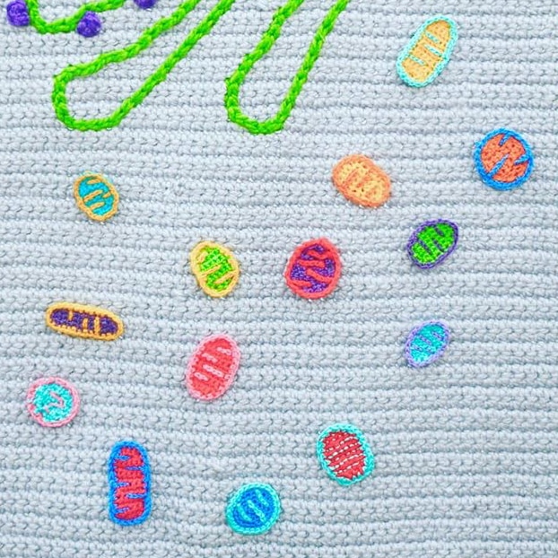 Close up of crocheted mitochondria