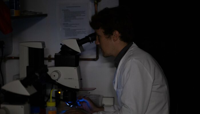 Researcher in darkened room looking donw microscope (Donovan A in Brand lab)