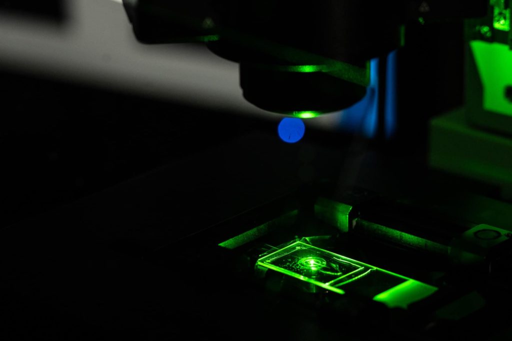 A specimen illuminated by fluorescent light on microscope stage in St Johnston lab