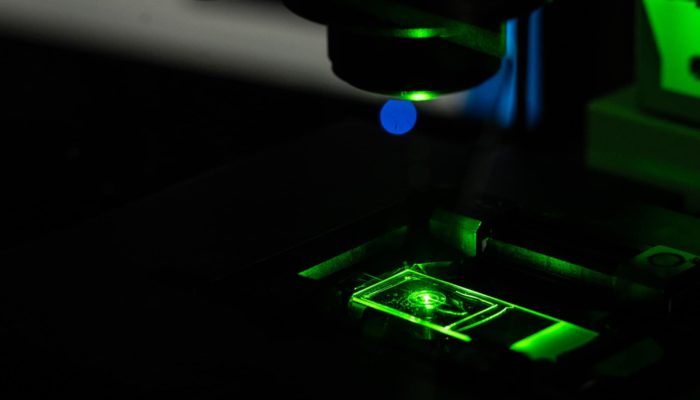 A specimen illuminated by fluorescent light on microscope stage in St Johnston lab