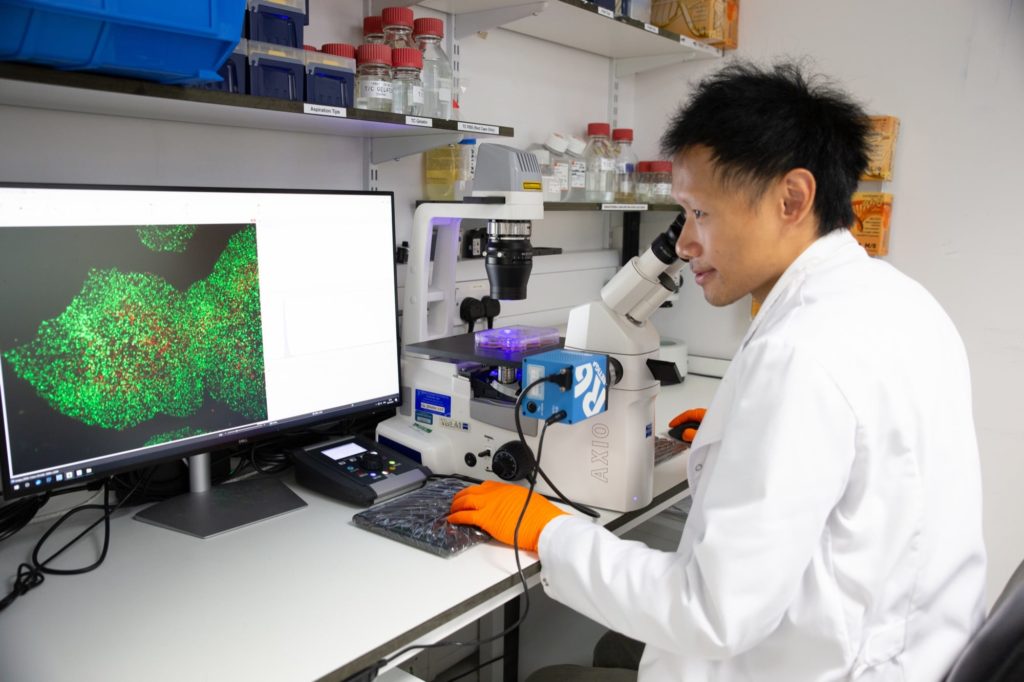 Surani Lab - Freddy Wong at microscope and green screen