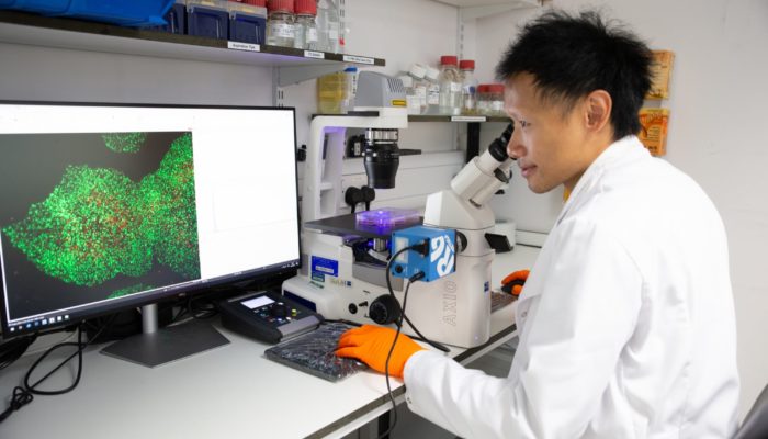 Surani Lab - Freddy Wong at microscope and green screen