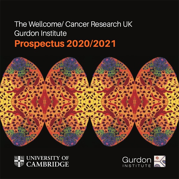 Front cover of Institute Prospectus 2020/2021
