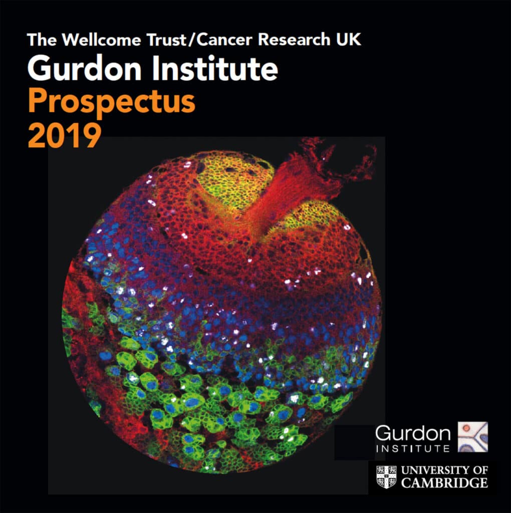 Front cover of the Gurdon Institute 2019 Prospectus with colourful microscopy image in shape of an apple