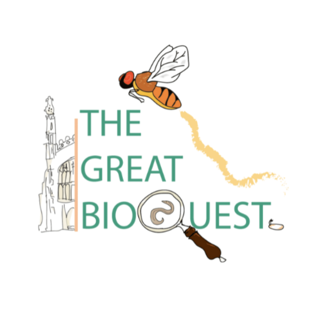 The Great BioQuest logo
