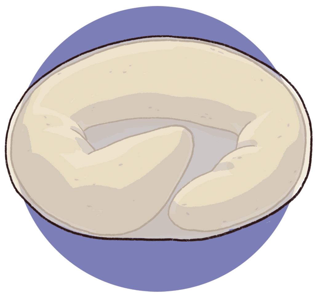 Stylised illustration of the three-fold stage of a developing c. elegans worm