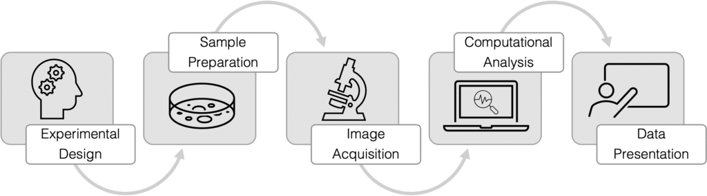 Diagram of workflow in imaging and image analysis at the Gurdon Institute