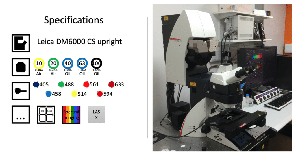 Technical spec and photo of the Leica SP8 upright confocal microscope