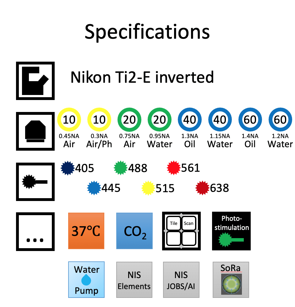 Technical spec of the Nikon SoRa spinning disk microscope