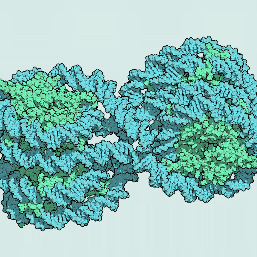 Light turquoise square with a 3D model of a DNA structure
