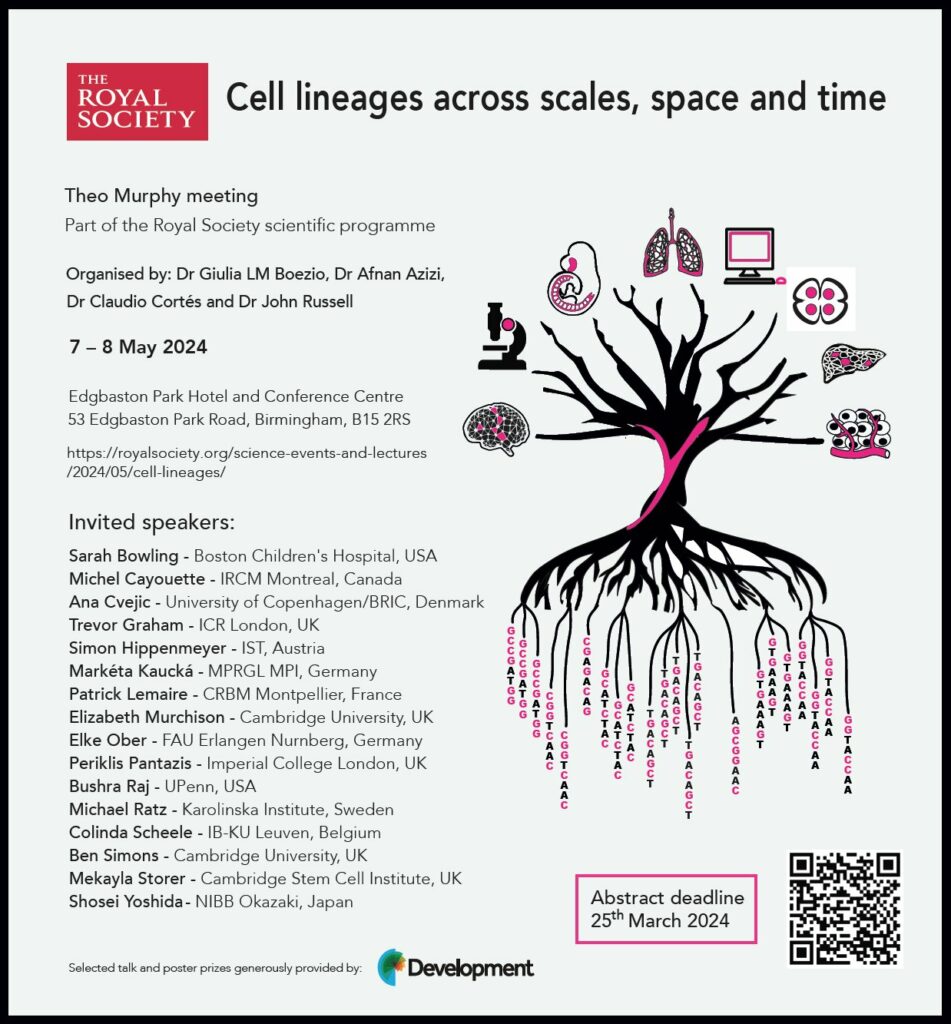 Royal Society Cell lineage meeting