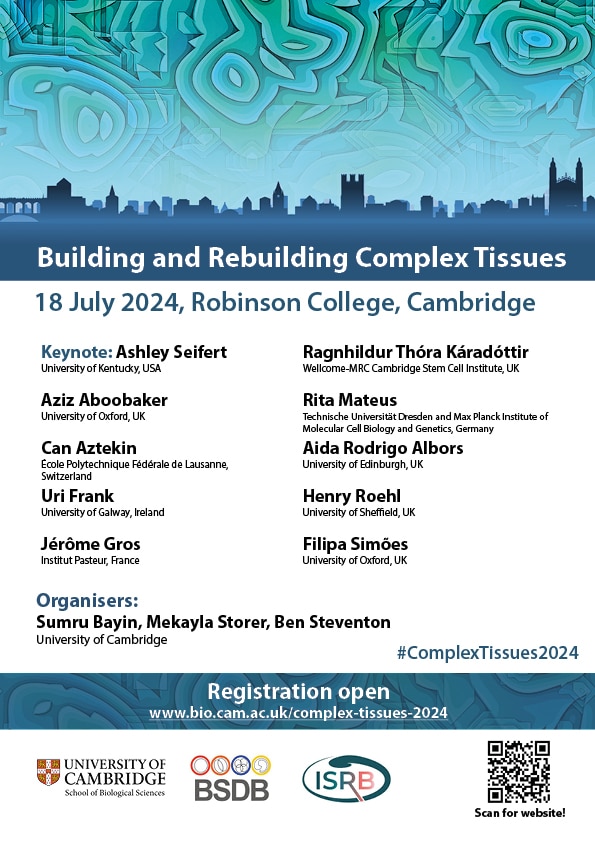 Building and rebuilding complex tissue poster